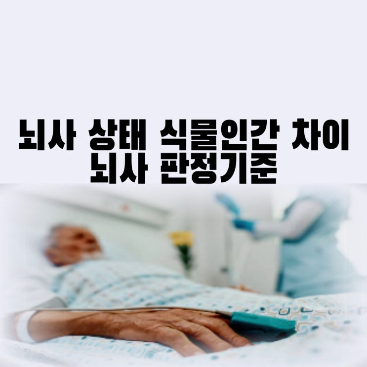 뇌사 상태 식물인간 차이 회복 뇌사 판정기준