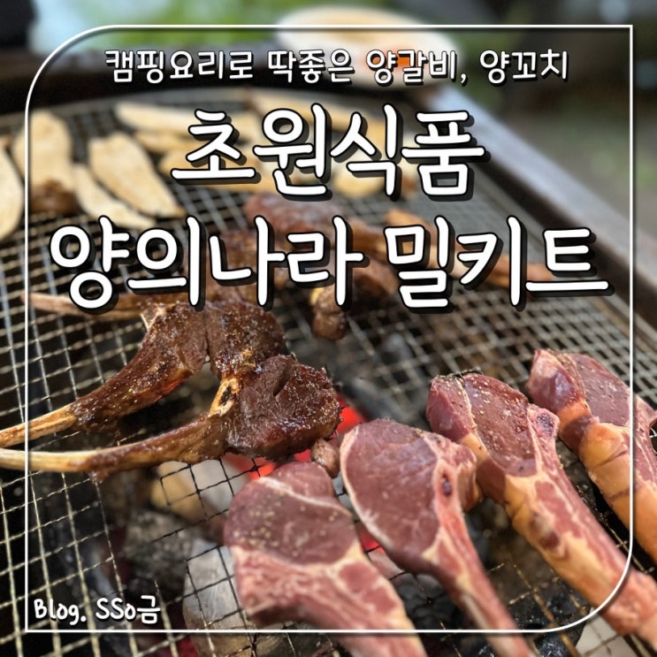  [밀키트] 초원식품 양의 나라 : 캠핑요리로 좋은 양갈비, 양꼬치 내돈내산 바베큐