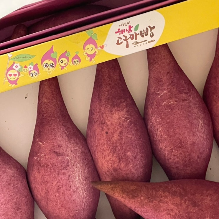  해남 명물 고구마빵 빵지순례 후기 | 원조 해남고구마빵 피낭시에 (+포장 및 택배, 보관, 웨이팅)