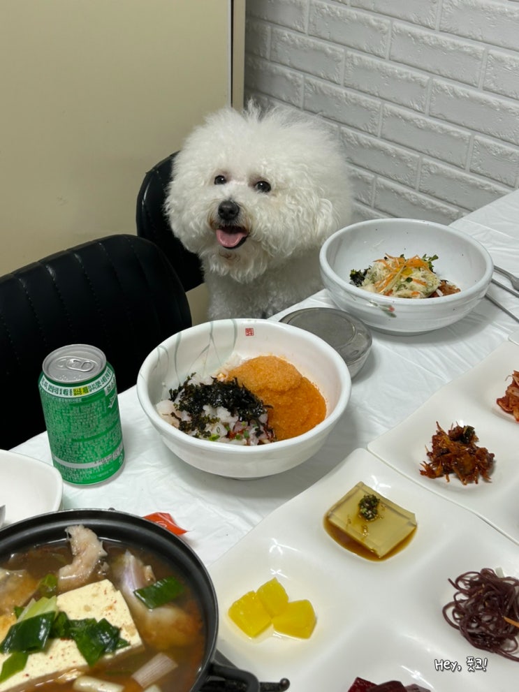  포항 애견동반 식당 등대지기 호미곶점 강아지 별채 있어 편리해!(호미곶 해맞이 광장에서 1분 거리)