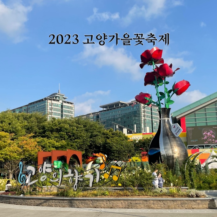  경기도 일산 호수공원 볼거리 :: 2023 고양가을꽃축제