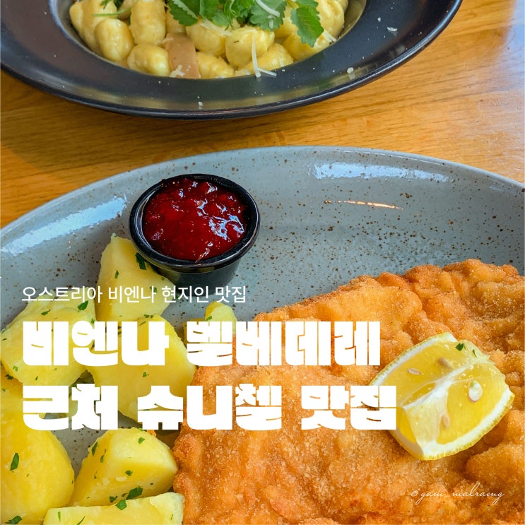  비엔나 슈니첼 맛집 벨베데레 근처 캠퍼스 브라우 Campus Bräu 후기 및 예약방법