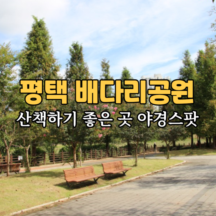  평택 배다리공원 저수지 & 야경 스팟 & 배다리도서관