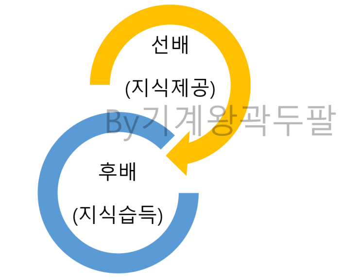  OJT 뜻과 실제 수행 과정 안내!