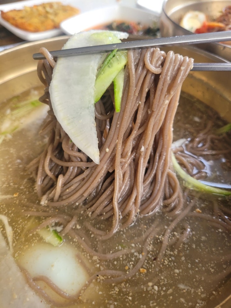  40년전통 진골원조막국수 가평 애견동반 막국수 녹두전 맛집