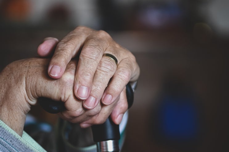 추석 연휴의 '중력'... 70대 자취생께 신호를 보냈습니다 추석 연휴의 '중력'... 70대 자취생께 신호를 보냈습니다