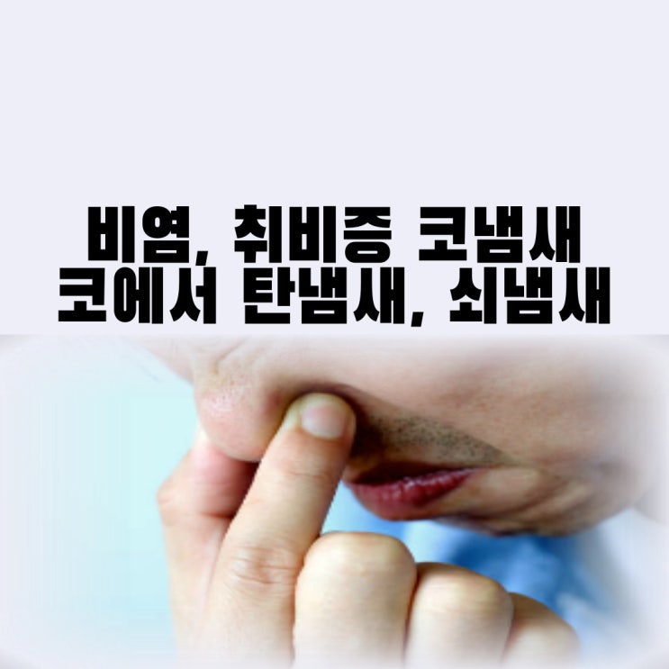  비염 코 냄새 원인 증상 치료 코에서 탄냄새 쇠냄새(취비증)