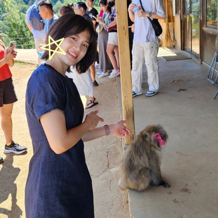  교토 여행지 아라시야마 몽키파크 추천_원숭이가 눈앞에
