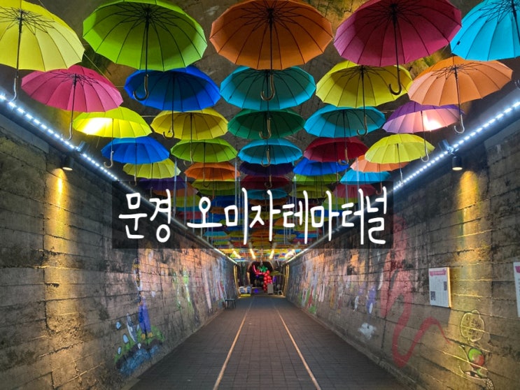 경북 가볼만한곳 문경 오미자테마터널