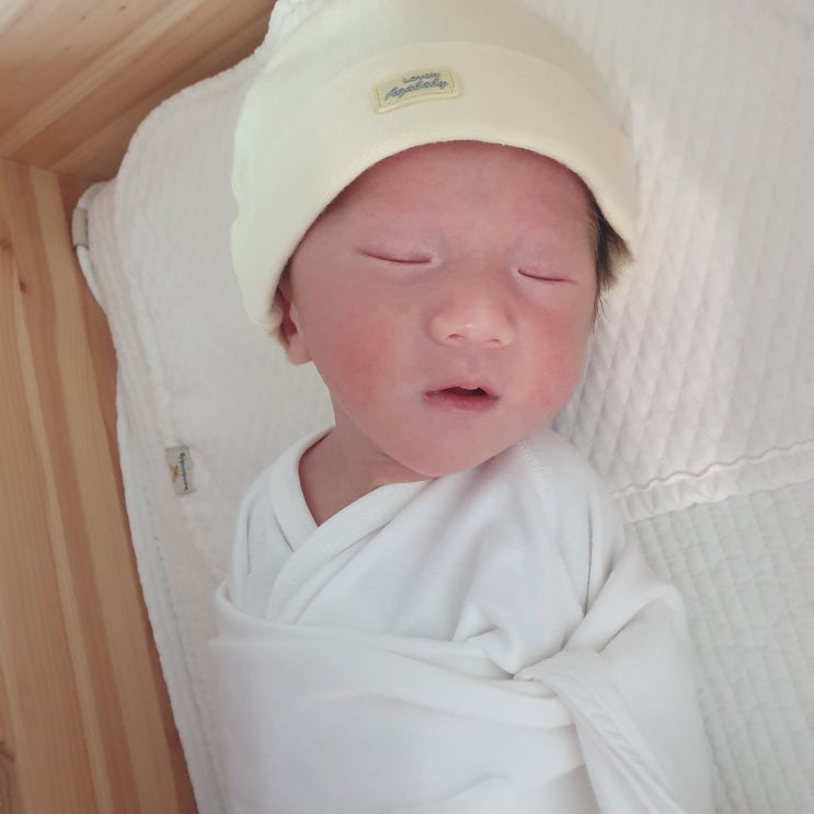  [창원 라움 산후조리원] 스위트룸 2주 솔직후기