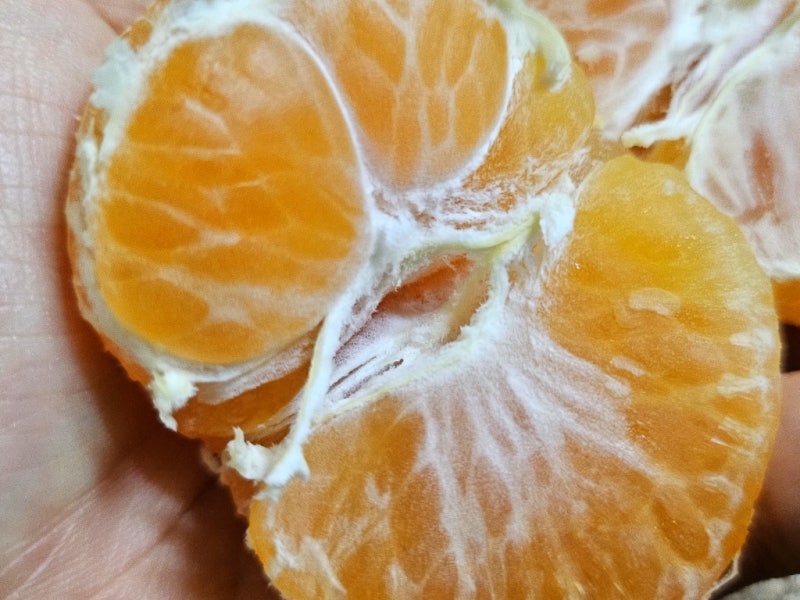 귤효능 귤껍질효능 함께 살펴보기 : 네이버 블로그