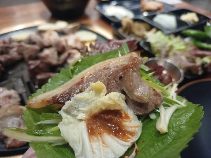  부산 전포맛집 맛있는 고기를 조용히 먹을 수 있는 육담도
