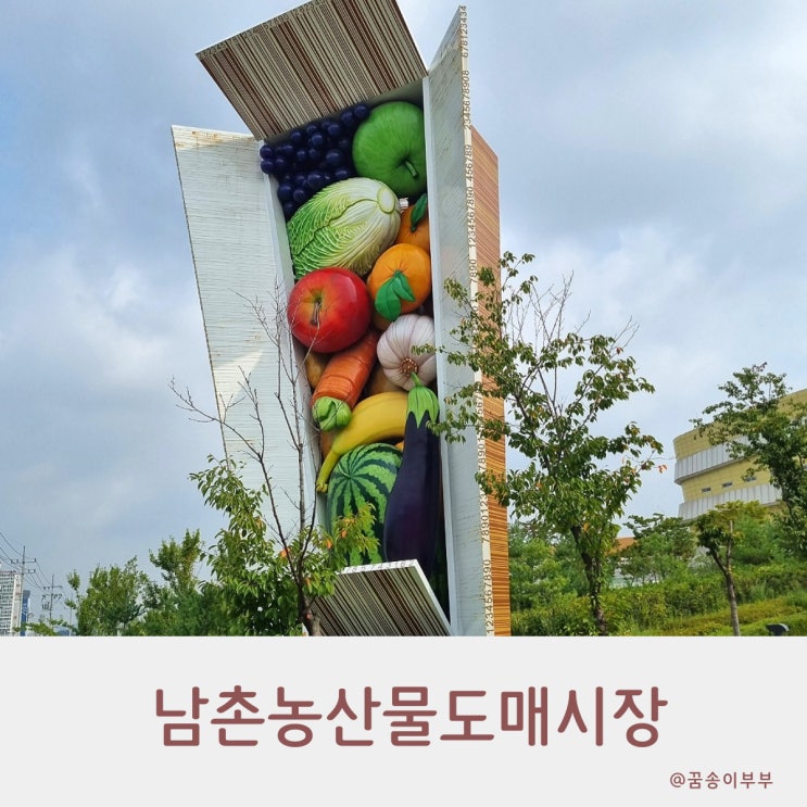 인천 남촌농산물도매시장에서 과일 채소 구매후기