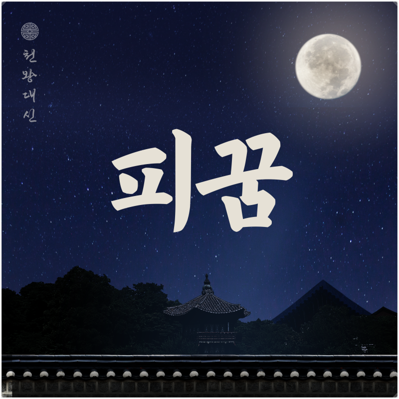 피꿈 꿈해몽 피나는꿈