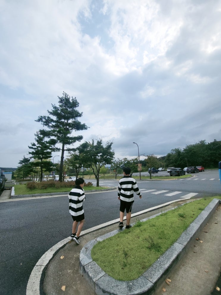  [연휴에 갈만한 곳] 강화도 루지 후기 l 강화 씨사이드 리조트 LUGE