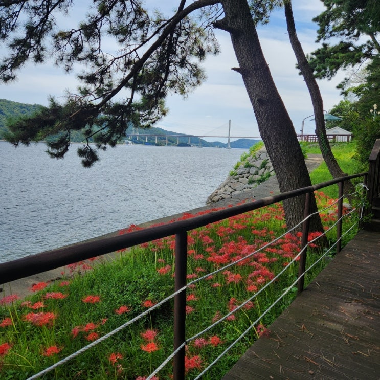  창원여행, 창원나들이, 가을, 추석 연휴 나들이하기 좋은 <마산 돝섬>