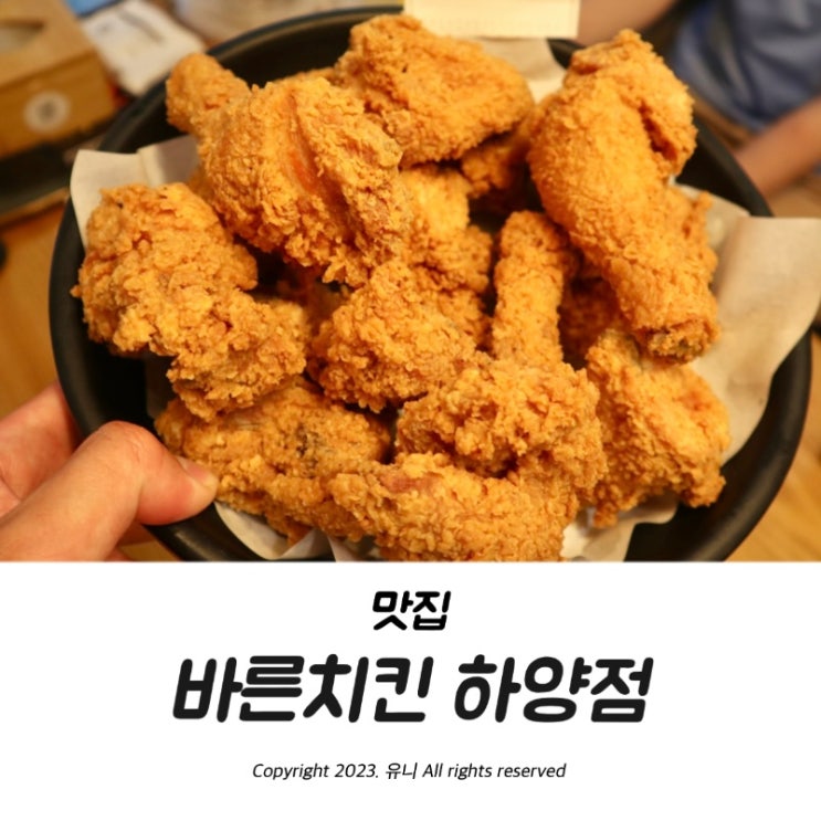  바른치킨 메뉴 추천 현미바삭 내돈내산 솔직후기 경산하양점