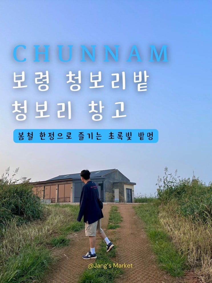  보령 여행 카페 청보리밭 | 가볼만한 곳 천북 청보리창고 | 그해 우리는 촬영지