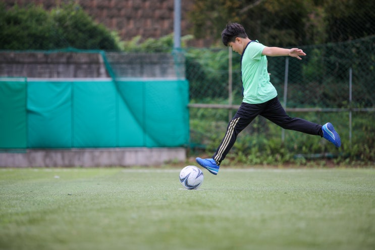  진영 금병공원에 위치한 축구장 이용