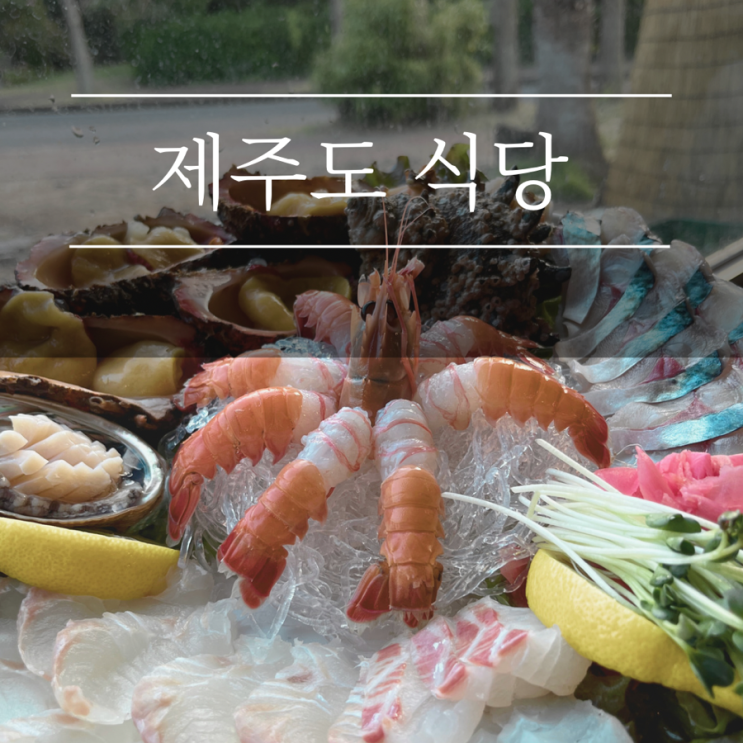  제주도 함덕 맛집 백록집 현지인추천 노포 감성 고등어회 애견동반식당
