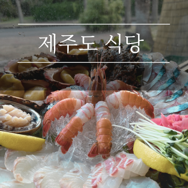 제주도 함덕 맛집 백록집 현지인추천 노포 감성 고등어회 애견동반식당