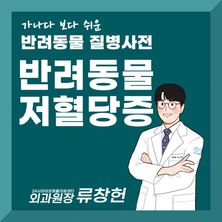 대구24시동물병원 반려동물 응급상황 : 강아지 저혈당