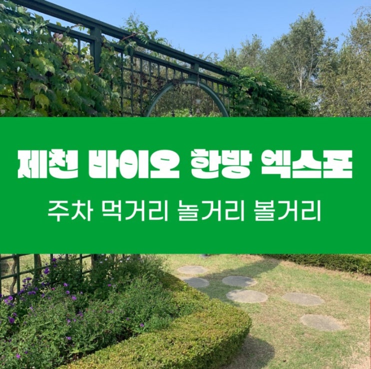  서울 근교 나들이 2023 제천 한방바이오 박람회 주차및 식당