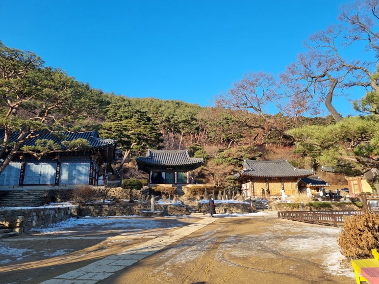  강화 전등사 새해맞이 서울근교가볼만한곳