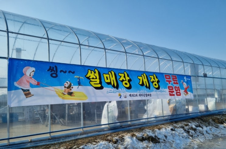  경기북부 얼음썰매장 연천무료얼음썰매 백의1리 개미산 얼음썰매타기