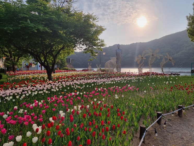 [산정호수공원] 산책 데이트 및 드라이브 가기 좋은 서울 근교 데이트 장소