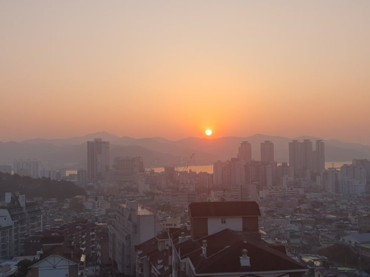  2023년 계모년 새해가 밝았습니다.