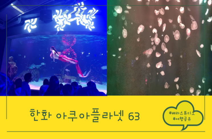 [서울] 여의도 아쿠아플라넷 63  방문 후기 (feat. 신한카드 40% 할인, 공연 안내, 63베이커리)