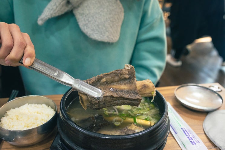  울산 동구 뜨근한 삼계탕 왕갈비탕, 아리아 영계백숙 왕갈비탕