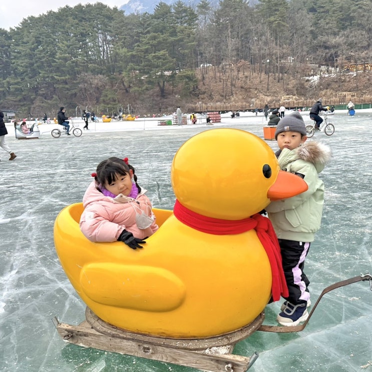 포천 산정호수오리썰매 : 썰매축제 대여요금 및 주차 정보