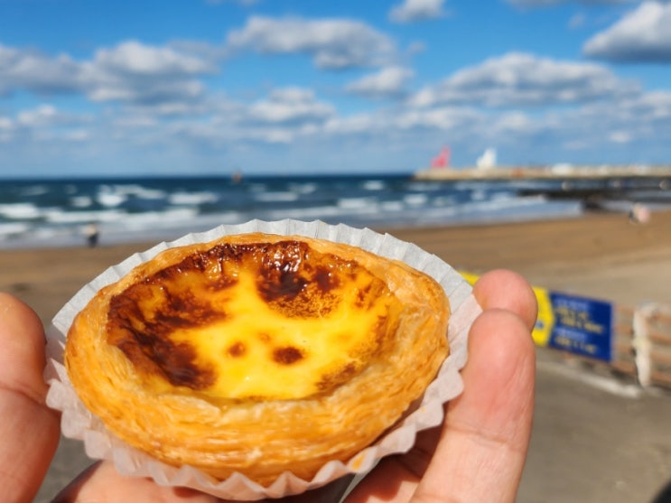  [제주] 린도디아 - 제주도 애월 카페 중 수제 타르트가 맛있는 제주타르트 맛집, 린도디아, 커피도 맛있습니다.!!