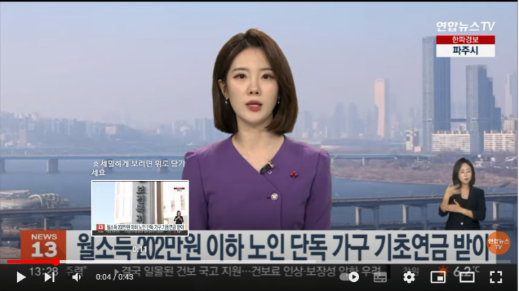 월소득 202만원 이하 노인 단독가구 기초연금 받아 [연합뉴스TV]