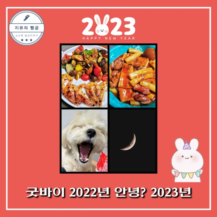  크리스마스 조촐한 홈파티~ 그리고 분식파티~ 크림 말티푸 카이일상~