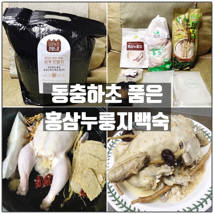 농업회사법인 대성주식회사 동충하초 품은 홍삼누룽지백숙 삼계탕밀키트 맛 리뷰 농업회사법인 대성주식회사 동충하초 품은 홍삼누룽지백숙 삼계탕밀키트 맛 리뷰
