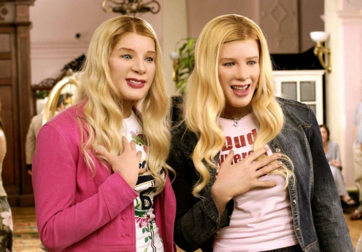  화이트 칙스(White Chicks) 새해 가볍게 보기 좋은 영화, 볼만한 영화 소개 (스포 X)