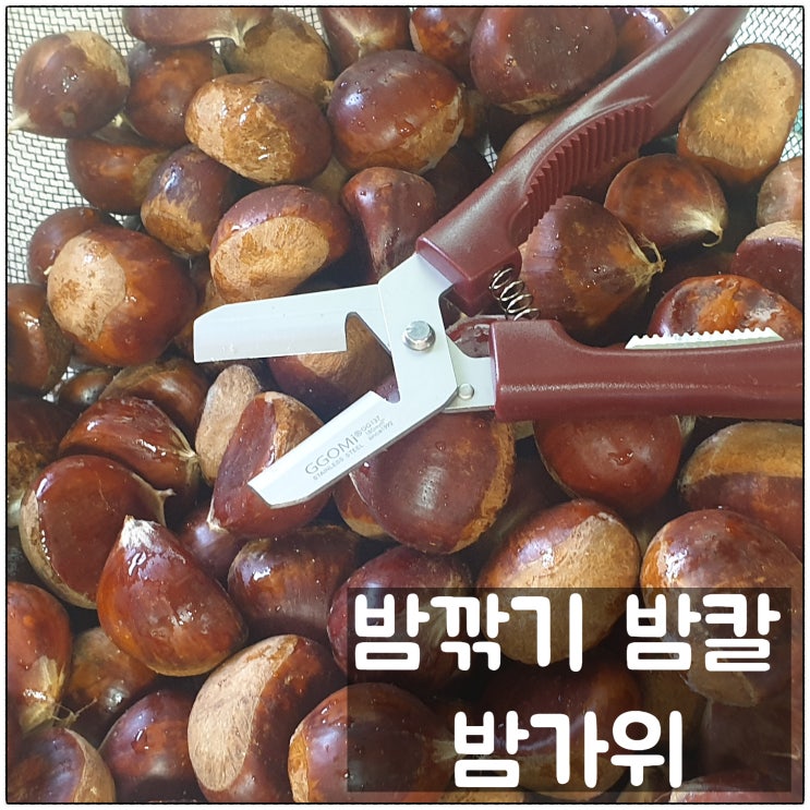 황금약단밤 밤깎기 밤칼 겸용 밤가위 사용후기