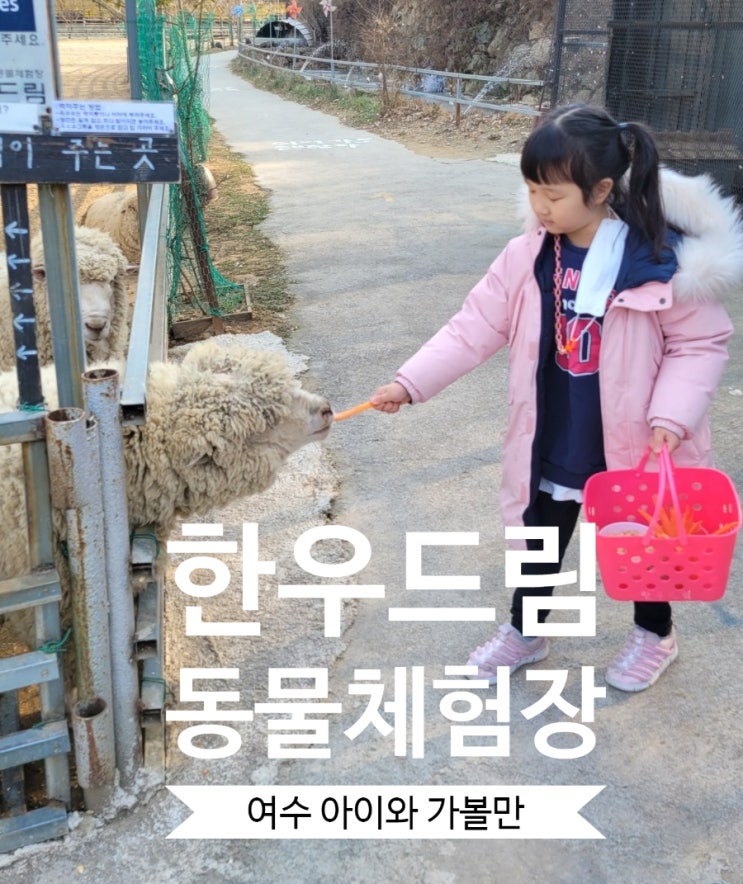  여수 아이들과 가볼만한 곳 한우드림 동물체험장 재미있다