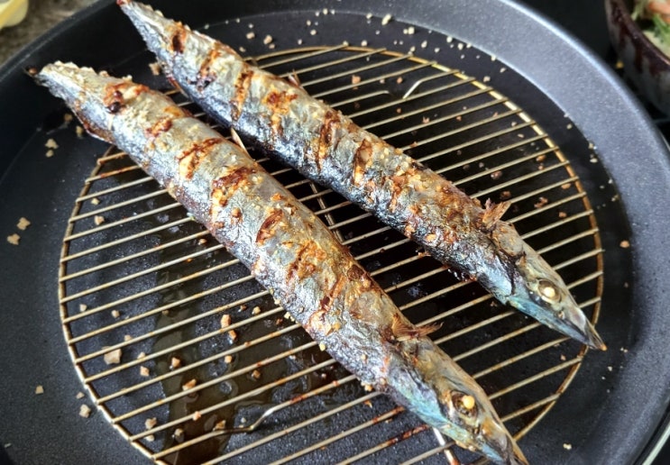  꽁치 오븐구이와 꽁치 미끼