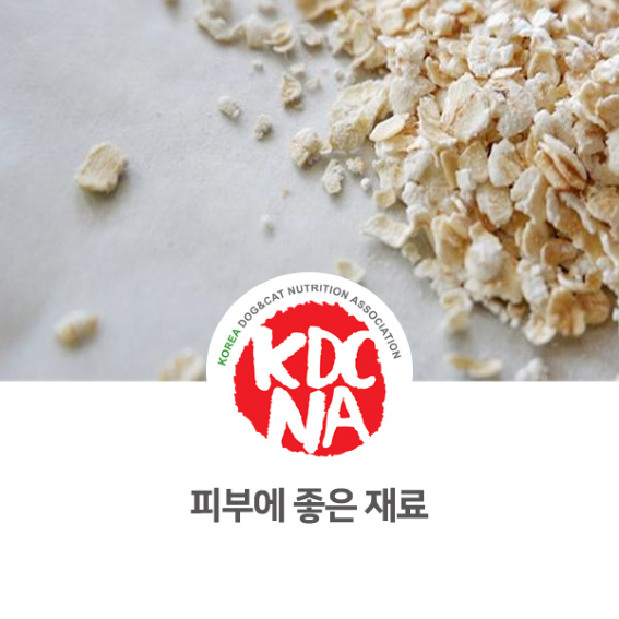  강아지 피부에 좋은 음식 [한국반려동물영양협회/댕밀헌/펫푸드자격증/펫베이커리/청주/논산/천안_1054]