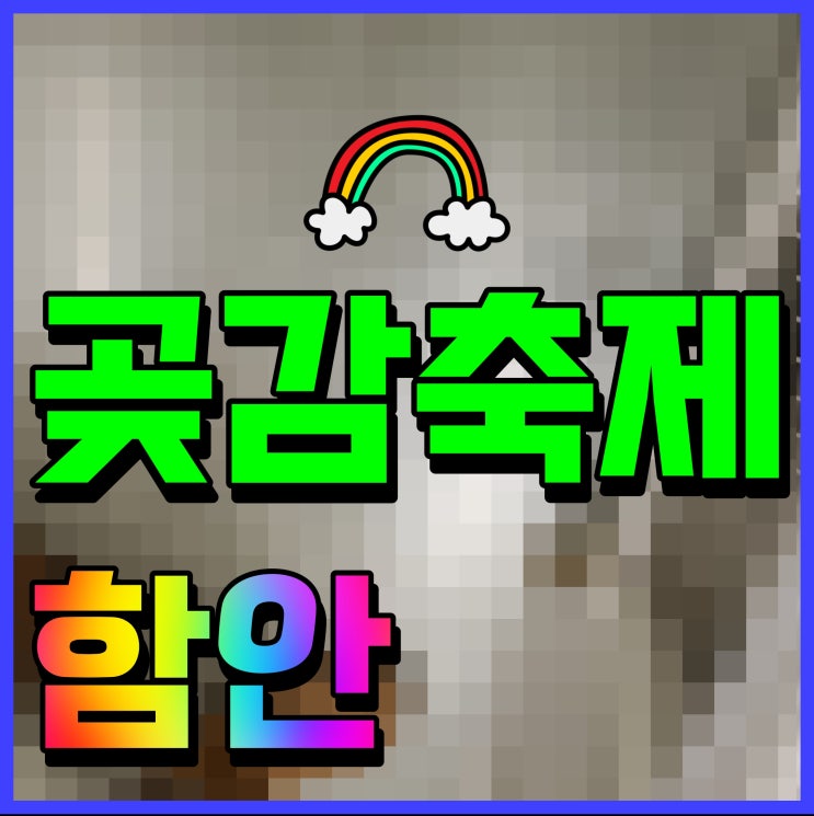  함안곶감축제 정보 기관지 숙취해소 감기 예방까지 다양한 효능