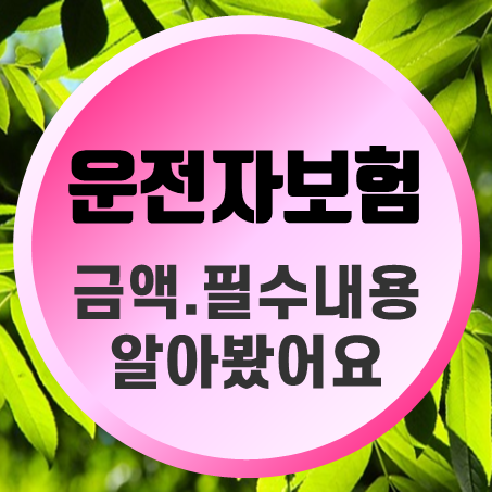  20대 운전자보험 금액과 필수 내용을 알아봤어요.