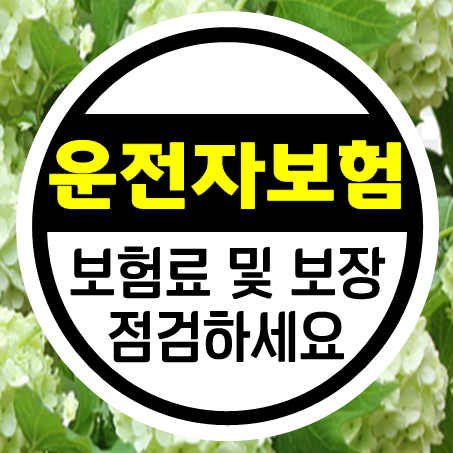  운전자보험료 확인 및 보장내용 점검할 시기입니다.