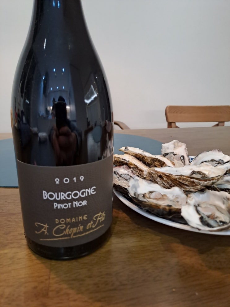  도멘 아르노 쇼팽 보르고뉴 2019 피노누아 - Domaine A.Chopin et Fils Bourgogne 2019 PINOT NOIR