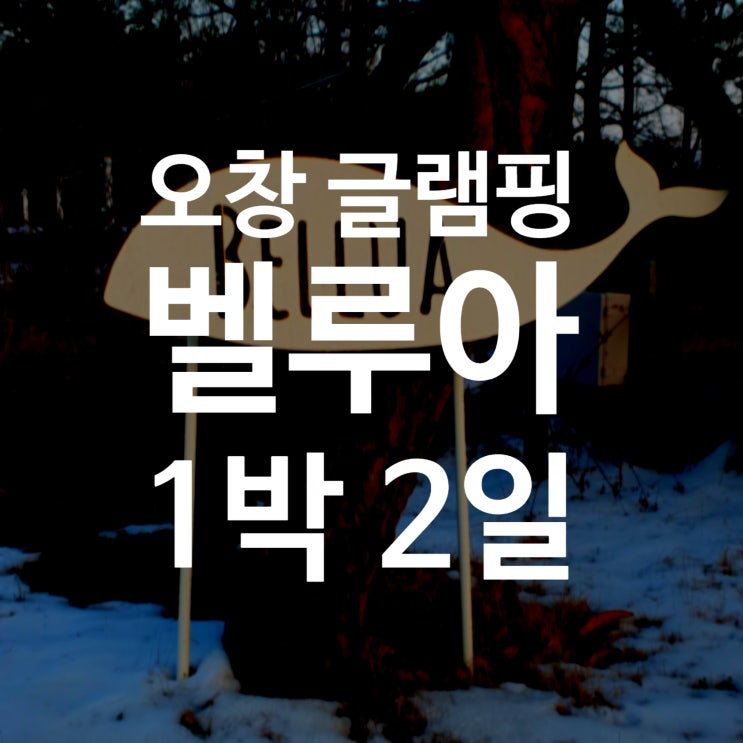  새해 글램핑 오창 벨루아에서 하룻밤... 해돋이는 이제 지겹다