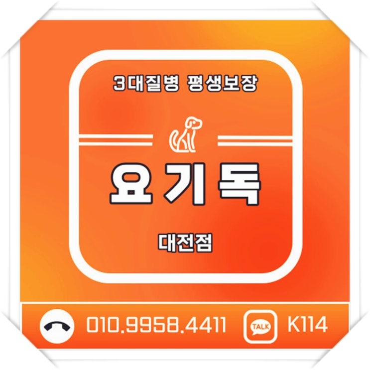  논산강아지분양 포메 분양가