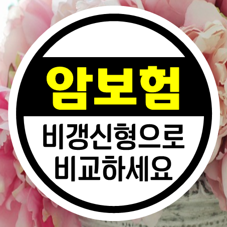  65세 암보험 비갱신 기준으로 비교 해보세요.